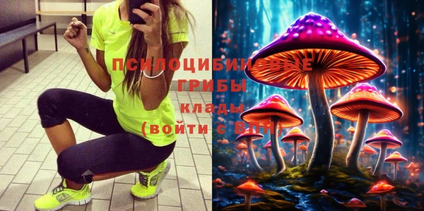 бошки Арсеньев